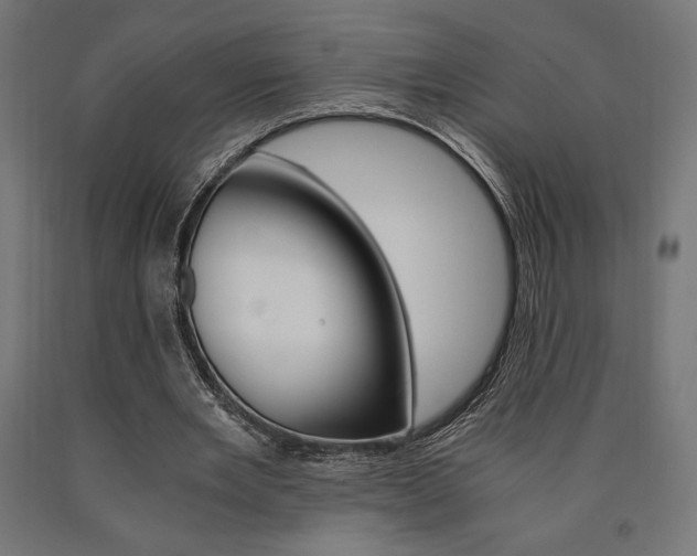 X0000091010485200708021409