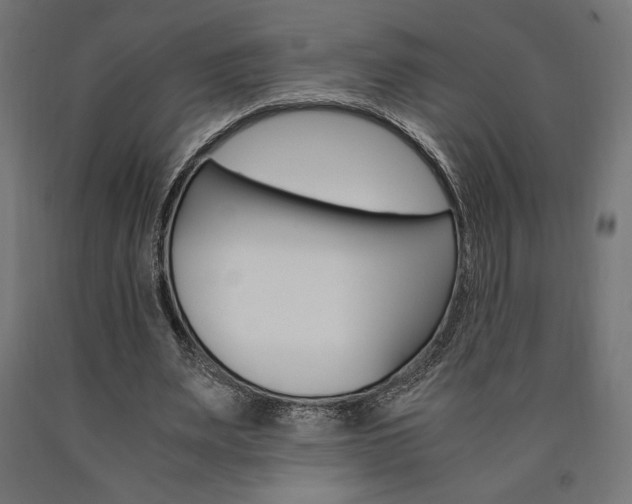 X0000091010487200708021409