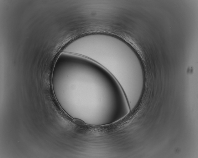 X0000091010489200708021409
