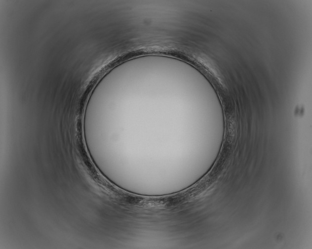 X0000091010491200708021409