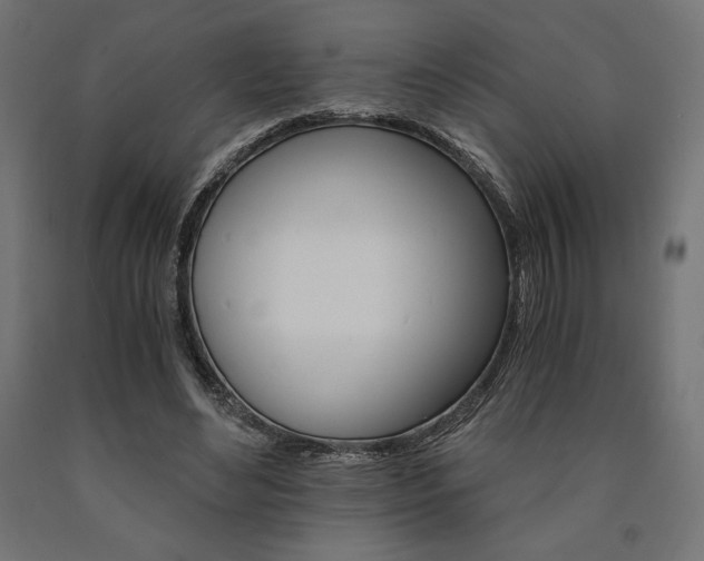 X0000091010492200708021409