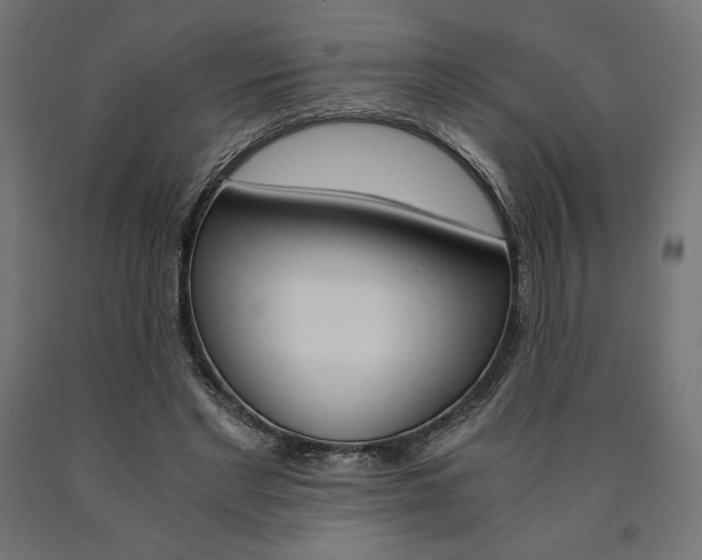 X0000091010493200708021409