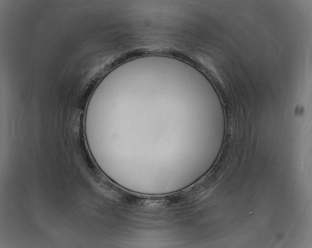 X0000091010495200708021409
