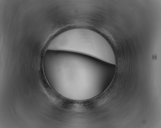 X0000091010496200708021409