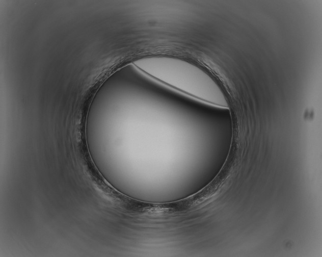 X0000091010497200708021409