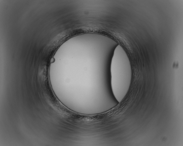 X0000091010498200708021409