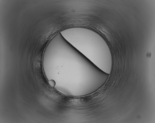 X0000091010499200708021409