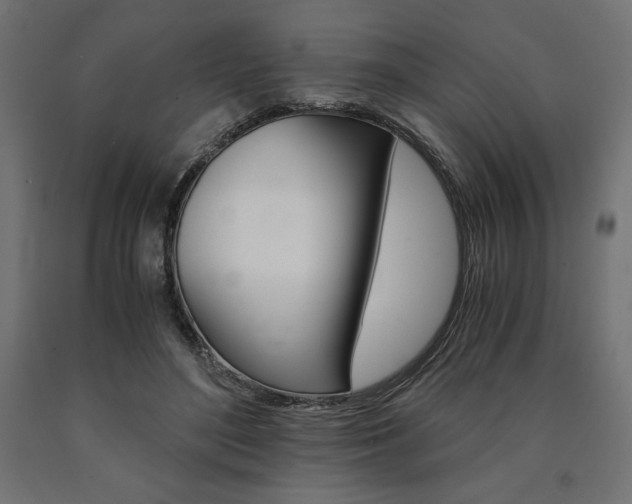 X0000091010500200708021409