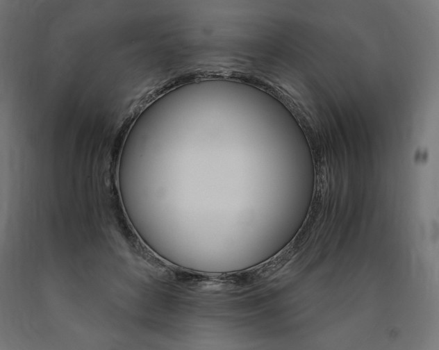 X0000091010504200708021409