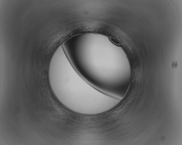X0000091010505200708021409