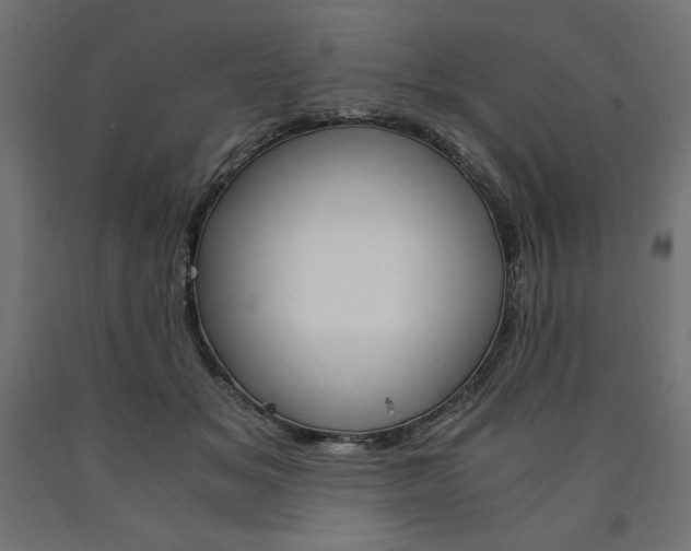 X0000091010509200708021409