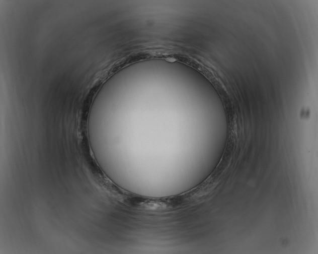 X0000091010512200708021409