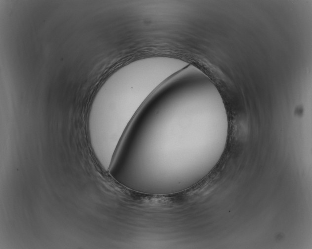 X0000091010517200708021409