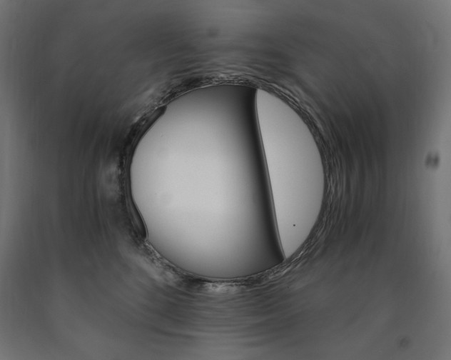 X0000091010520200708021409