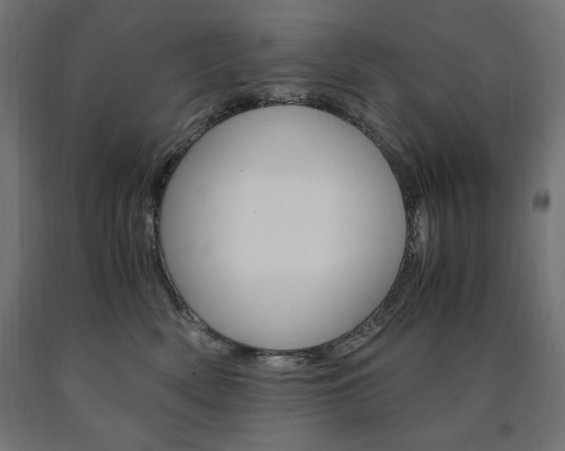 X0000091010522200708021409