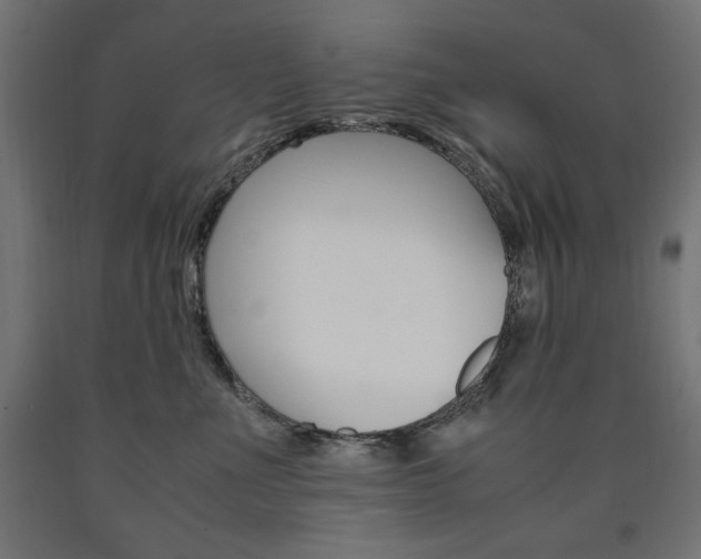 X0000091010523200708021409