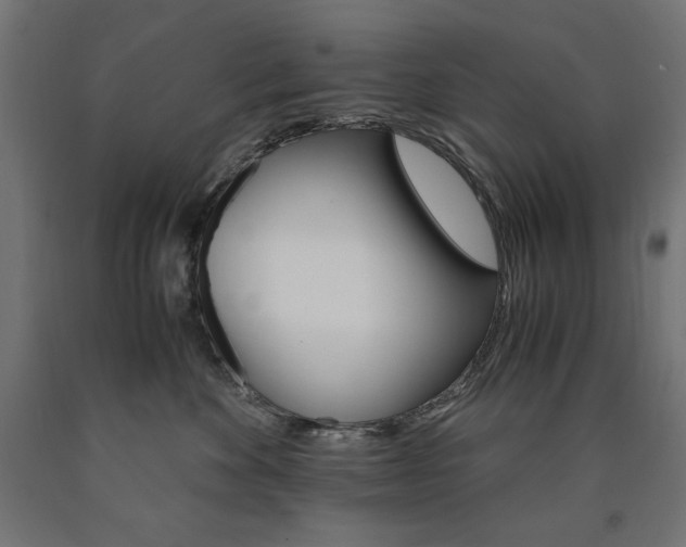 X0000091010524200708021409