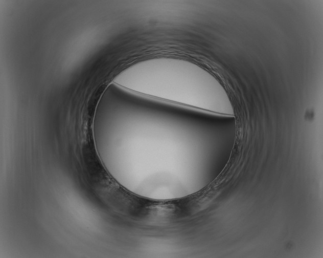X0000091010525200708021409