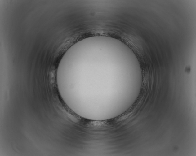 X0000091010526200708021409