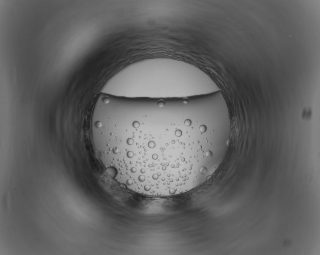 X0000091010527200708021409