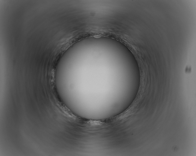 X0000091010528200708021409