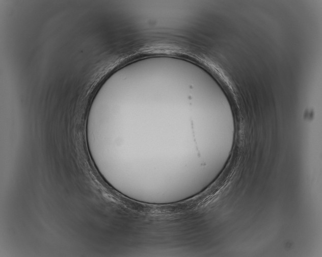 X0000091010529200708021408