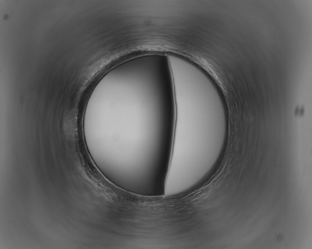 X0000091010531200708021408