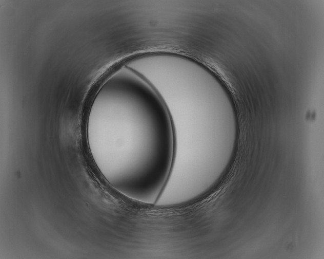 X0000091010532200708021408