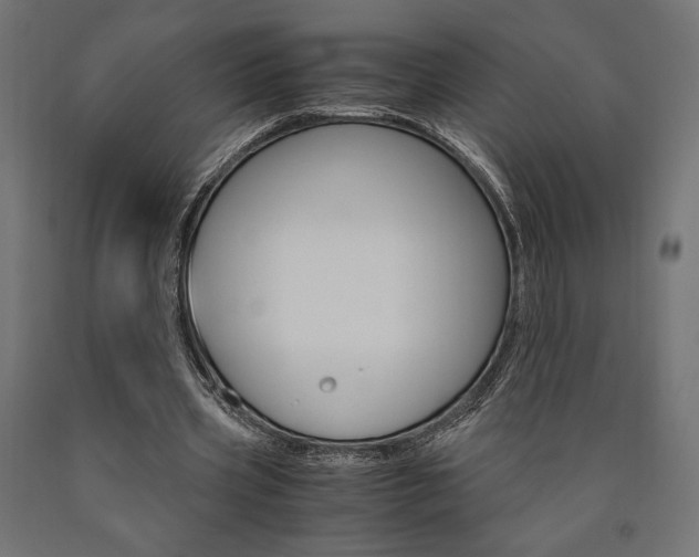 X0000091010533200708021408