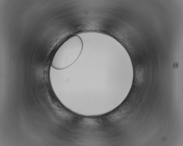 X0000091010534200708021408
