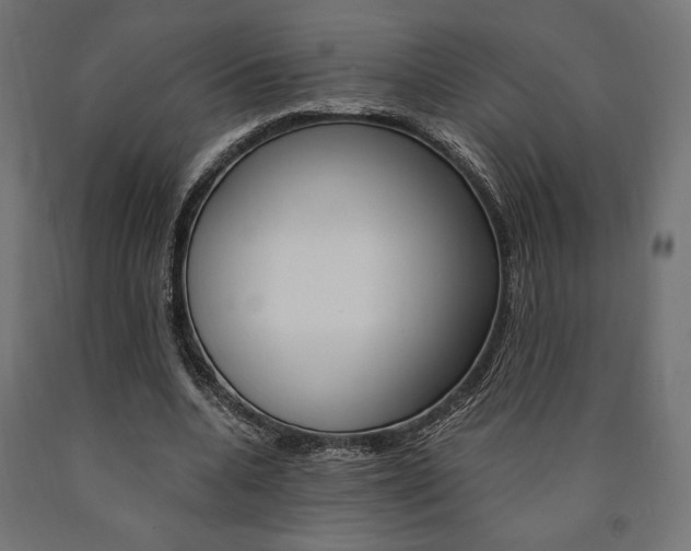 X0000091010536200708021408