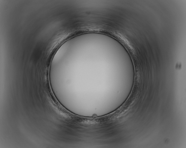 X0000091010537200708021408