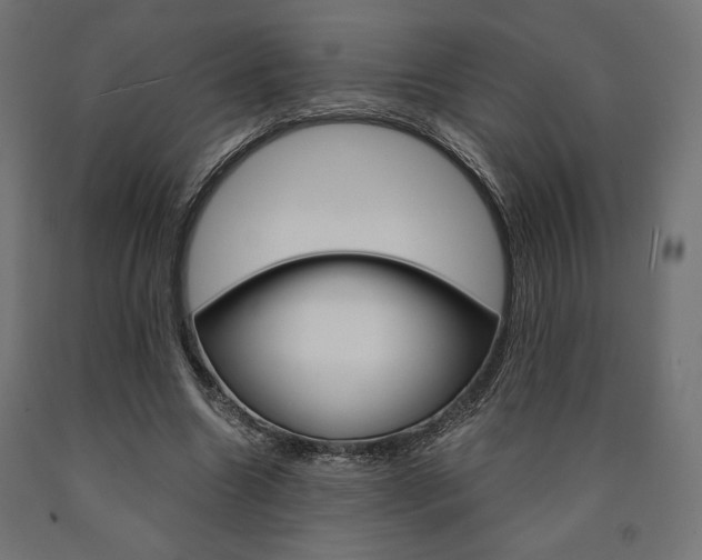 X0000091010538200708021408