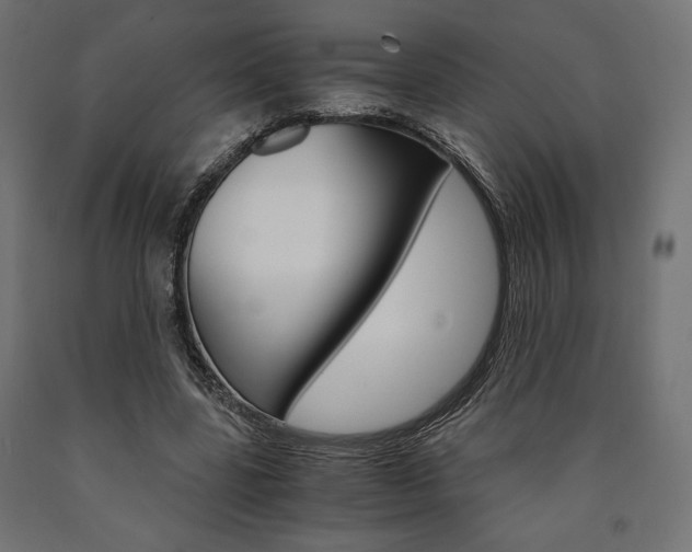 X0000091010539200708021408