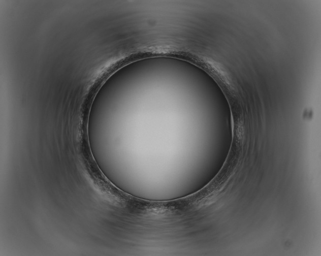 X0000091010540200708021408