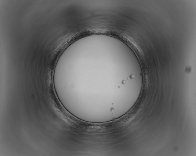 X0000091010541200708021408