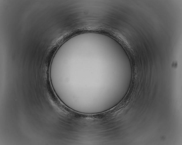 X0000091010542200708021408