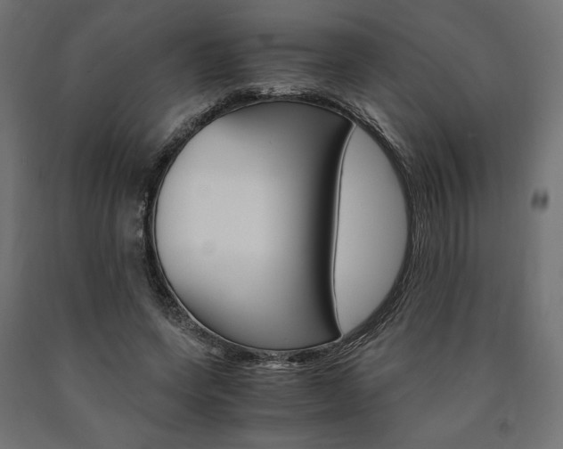 X0000091010543200708021408