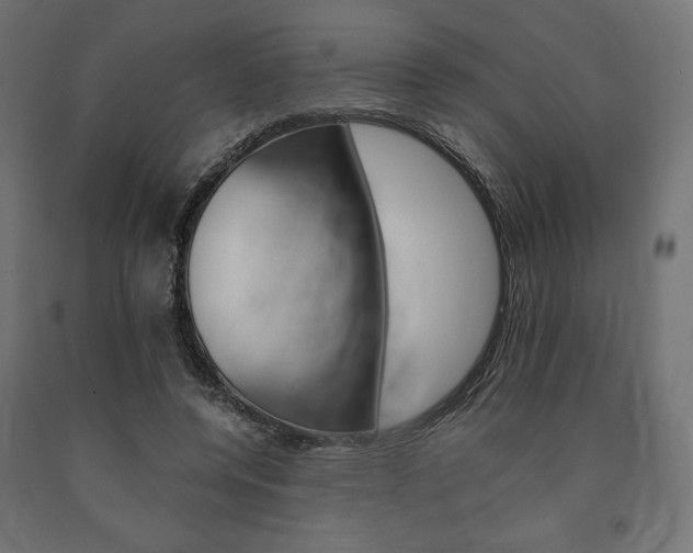 X0000091010544200708021408