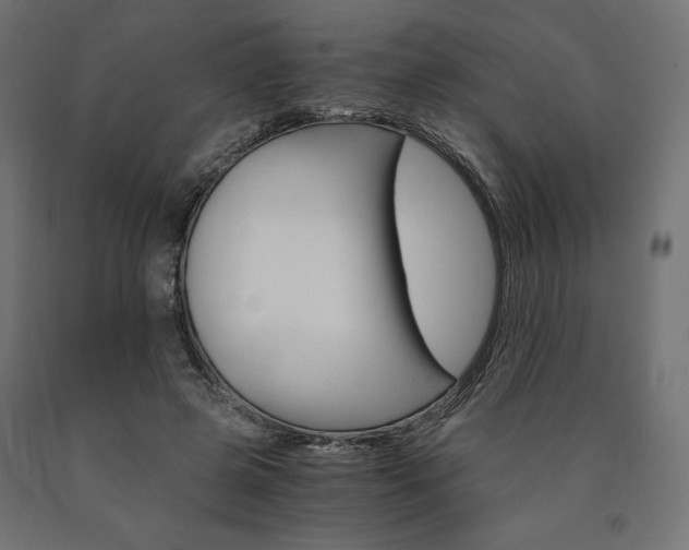 X0000091010545200708021408