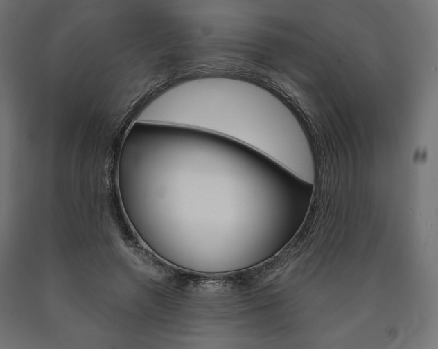 X0000091010546200708021408