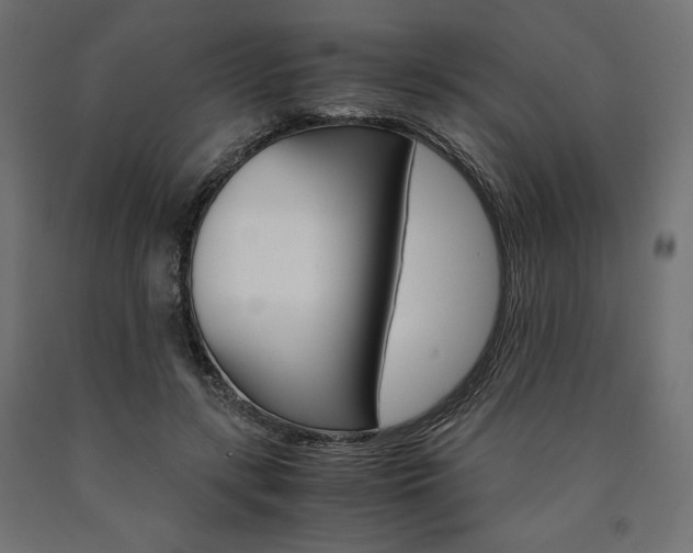 X0000091010547200708021408