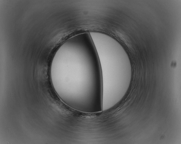 X0000091010548200708021408