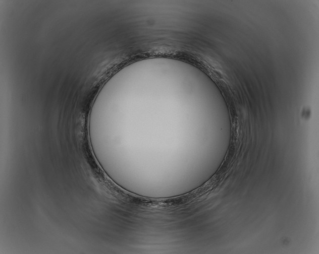 X0000091010550200708021408