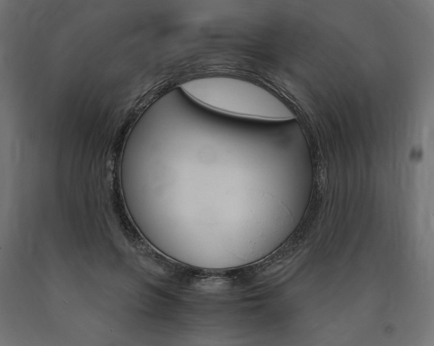 X0000091010551200708021408
