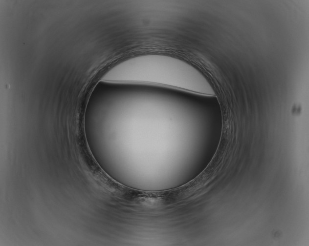 X0000091010552200708021408