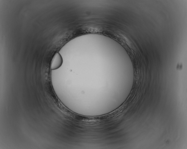 X0000091010553200708021408