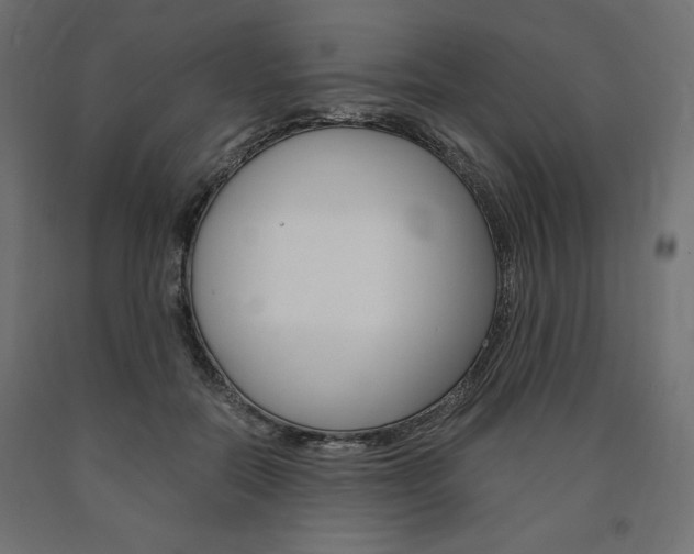 X0000091010554200708021408
