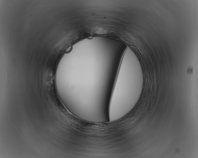 X0000091010555200708021408