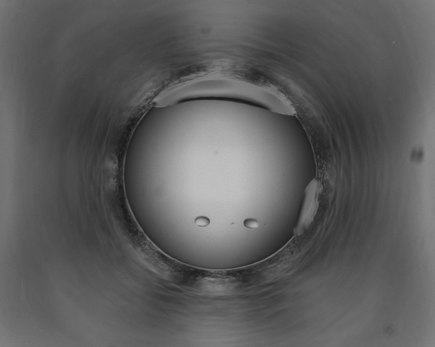 X0000091010556200708021408